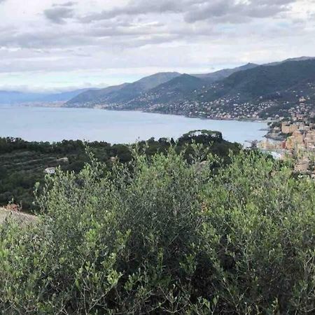 Acqua Marina Lejlighed Camogli Eksteriør billede