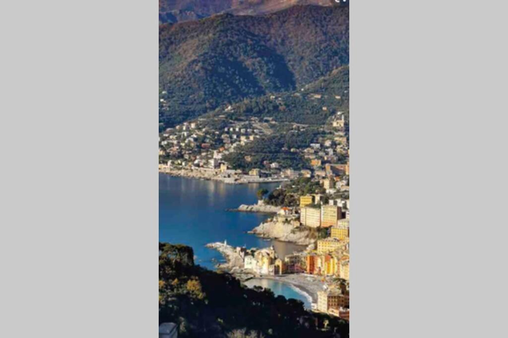 Acqua Marina Lejlighed Camogli Eksteriør billede