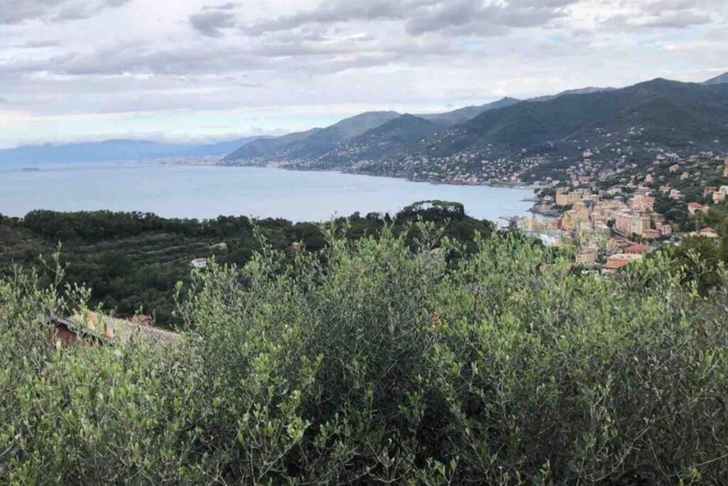 Acqua Marina Lejlighed Camogli Eksteriør billede