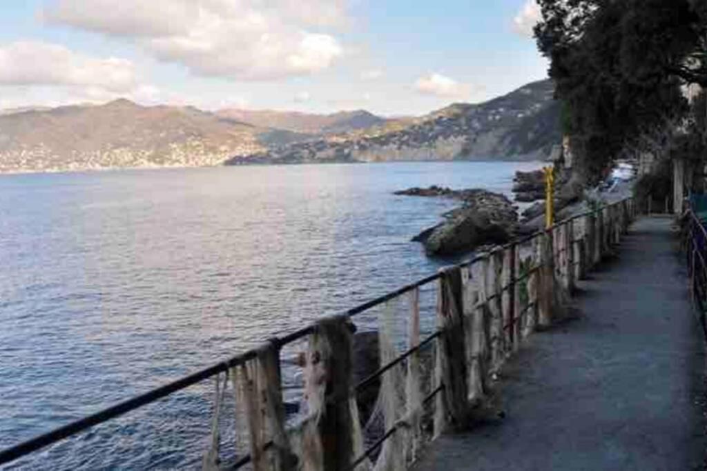 Acqua Marina Lejlighed Camogli Eksteriør billede